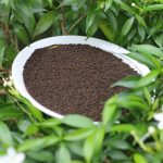 এ গ্রেড চা-পাতা (১ কেজি)