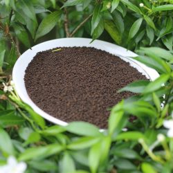 সিলেট এ গ্রেড চা-পাতা (১ কেজি)